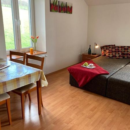 Horsky Apartman V Karlovicich Διαμέρισμα Karlovice  Εξωτερικό φωτογραφία