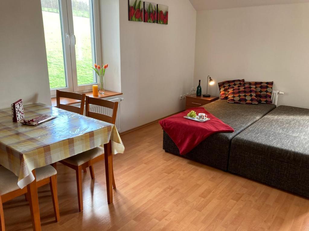 Horsky Apartman V Karlovicich Διαμέρισμα Karlovice  Εξωτερικό φωτογραφία