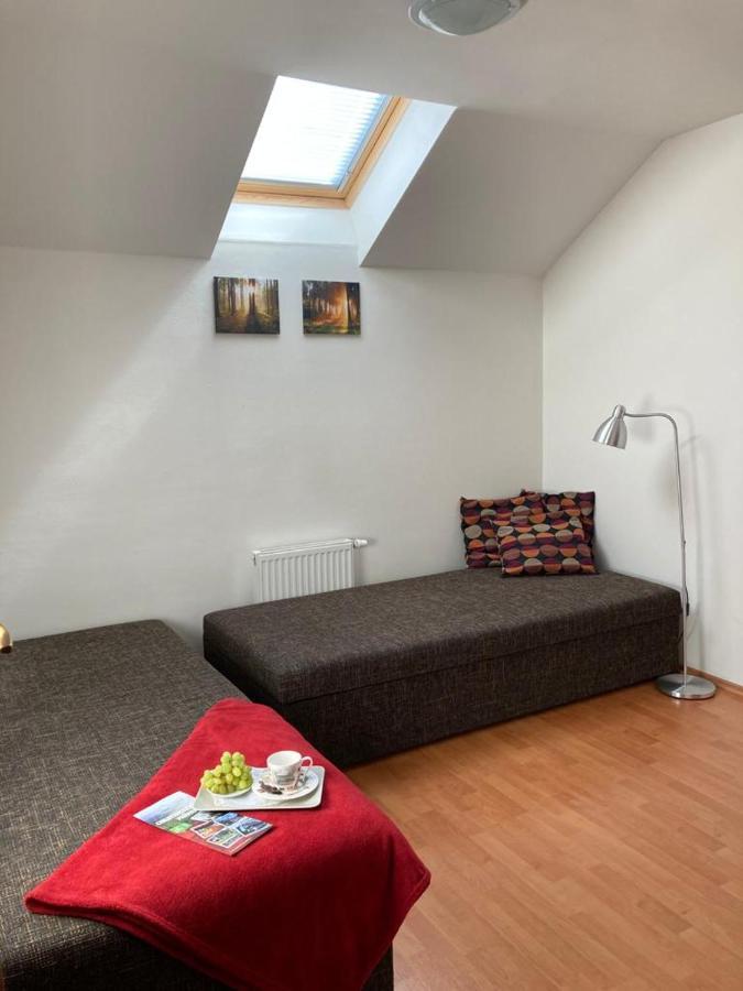 Horsky Apartman V Karlovicich Διαμέρισμα Karlovice  Εξωτερικό φωτογραφία